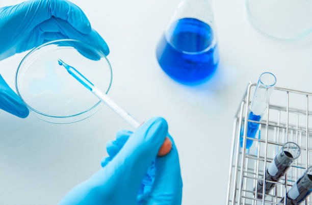 istockphoto 1052005298 612x612