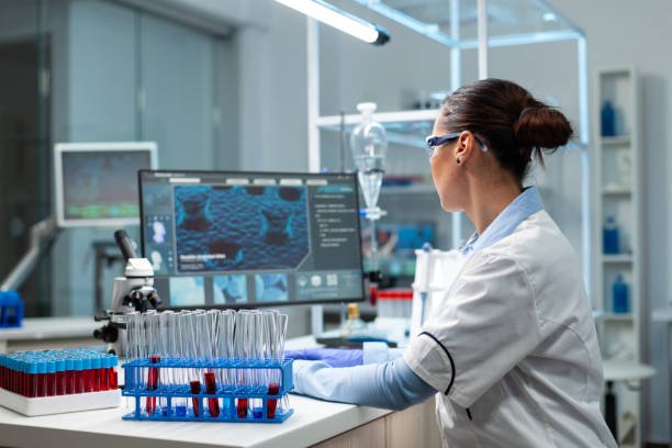 istockphoto 1465523181 612x612